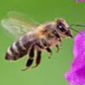 Meet your Posher, Gabriella